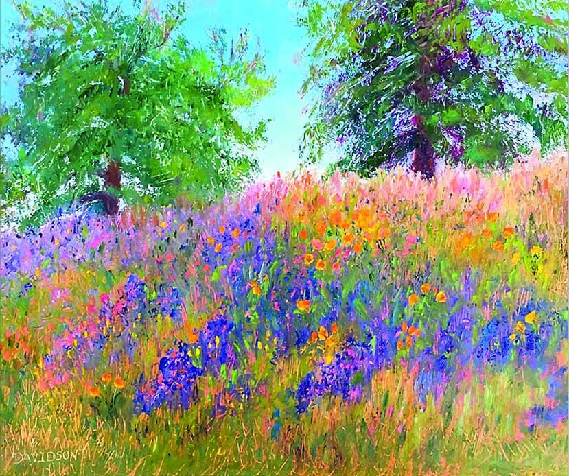 Velma Davidson Inside Sacramento