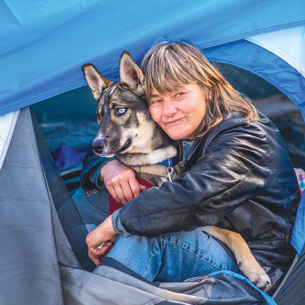 husky, homeless, tent