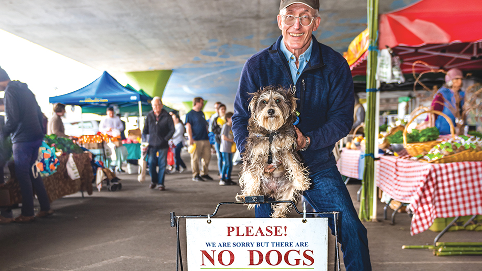 farmers market puppy