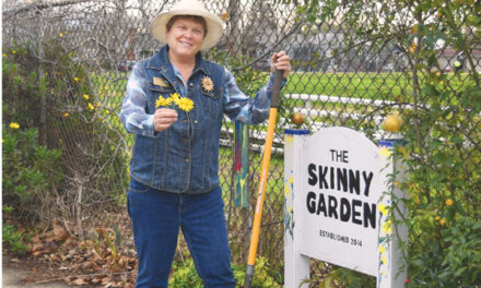Skinny Delight