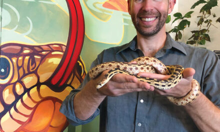 Saving Snakes