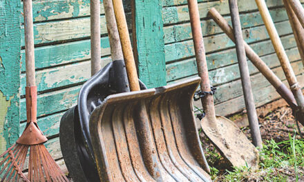 A Rake’s Progress