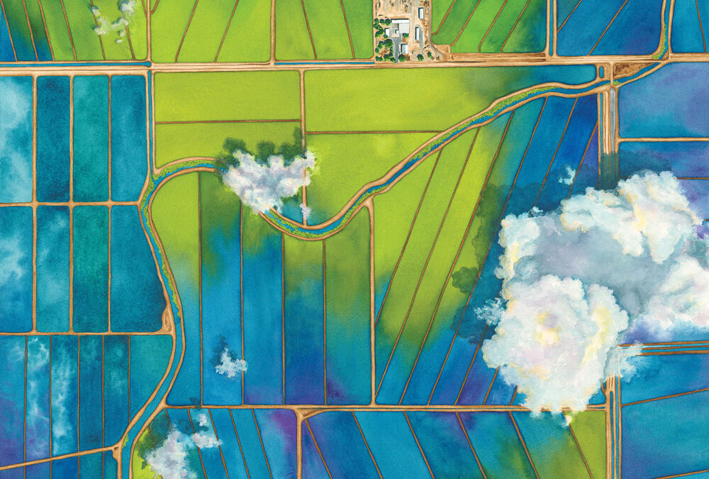 Cover Artist Elaine Bowers