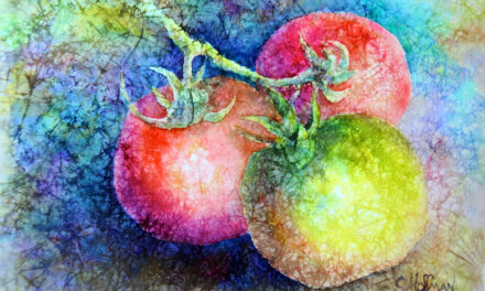 Cover Artist Susie Hoffman