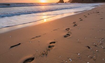 Sole Search