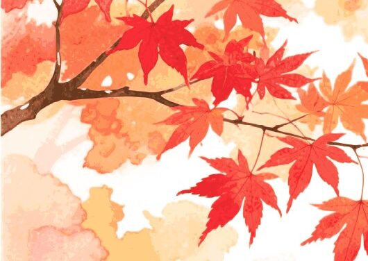 Found In Translation