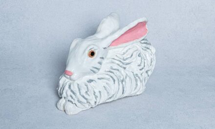 Cover Artist Cathryn Rakich