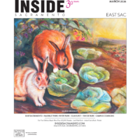 Print Subscription Renewal