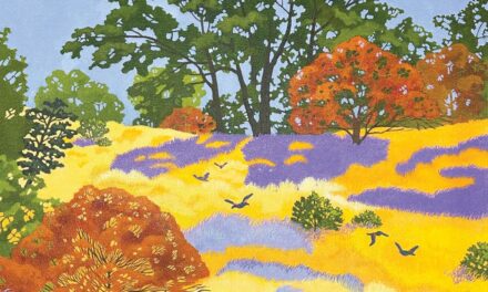 Cover Artist Sue Chapman