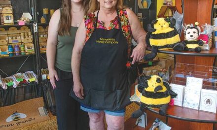 Busy Bees